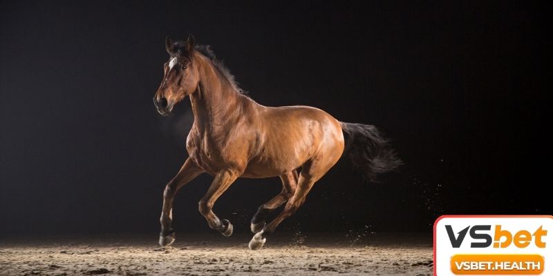 Một số bối cảnh và con số may mắn khác