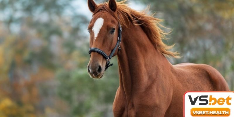 Tìm hiểu thông điệp mơ thấy ngựa